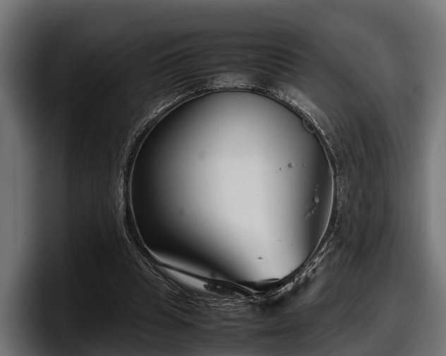 X0000097820345200803201442