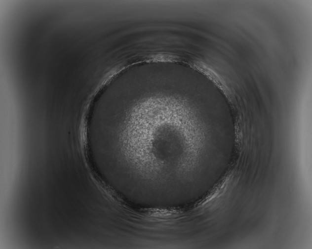 X0000097820347200803201442