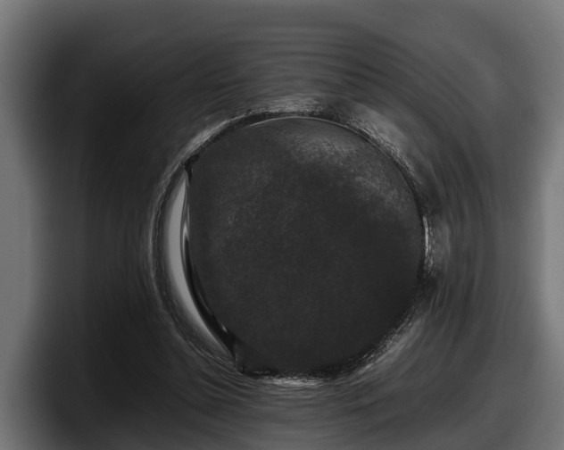 X0000097820348200803201442