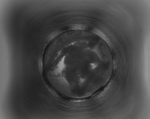 X0000097820349200803201442