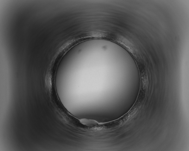 X0000097820350200803201442