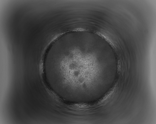 X0000097820351200803201442