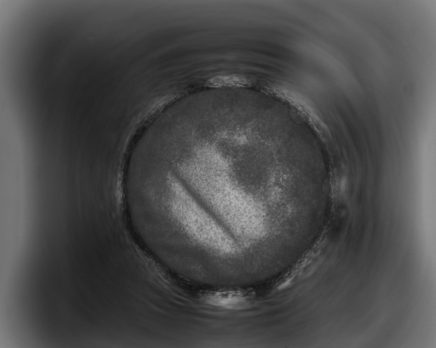 X0000097820353200803201442