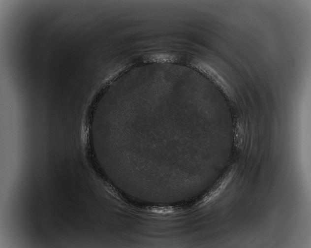 X0000097820355200803201442