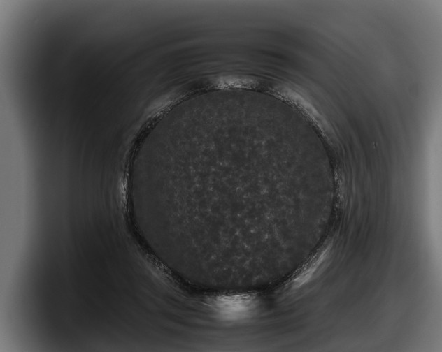 X0000097820357200803201442