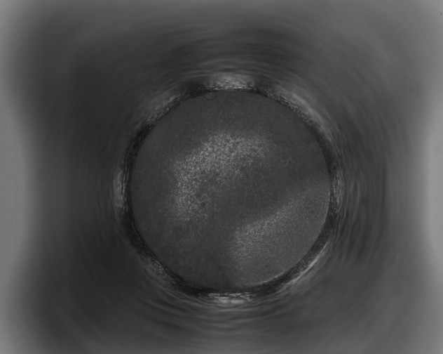 X0000097820359200803201442