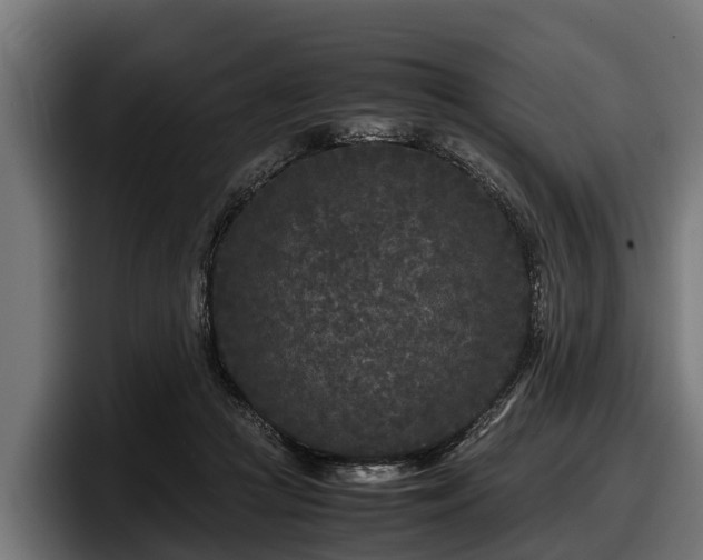 X0000097820361200803201442