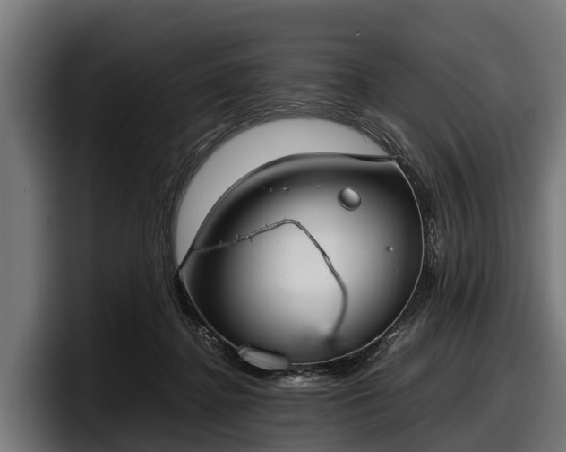 X0000097820364200803201442