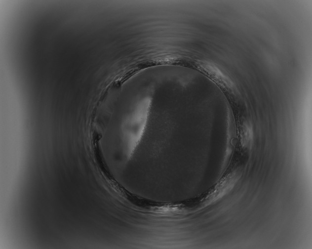 X0000097820366200803201442