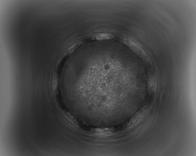 X0000097820367200803201442