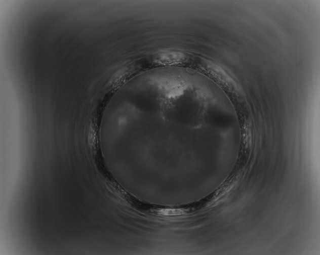 X0000097820371200803201442