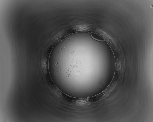 X0000097820373200803201442