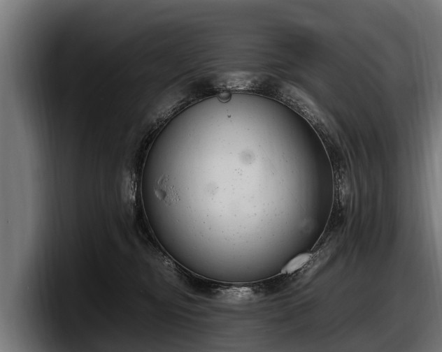 X0000097820374200803201442