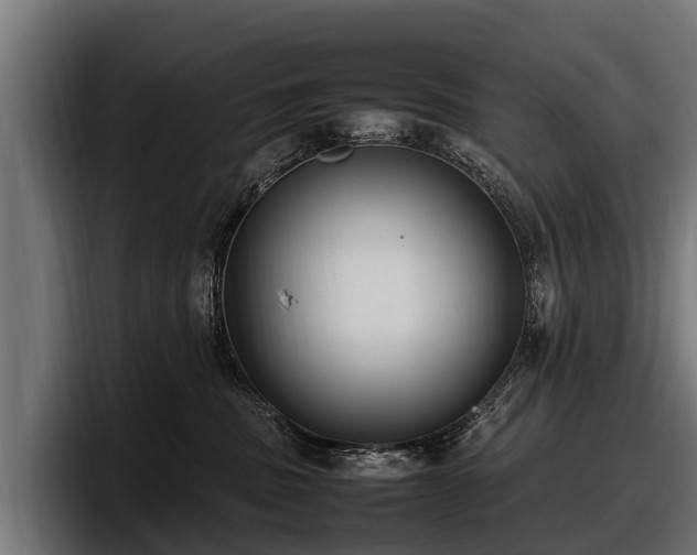 X0000097820379200803201442