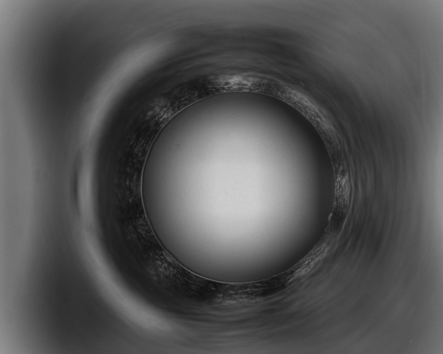 X0000097820381200803201442