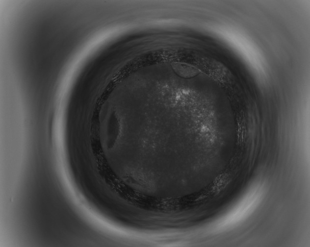 X0000097820383200803201442