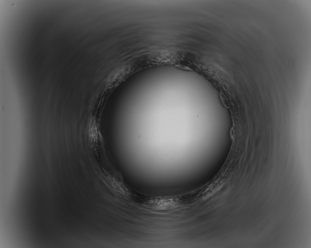 X0000097820384200803201442