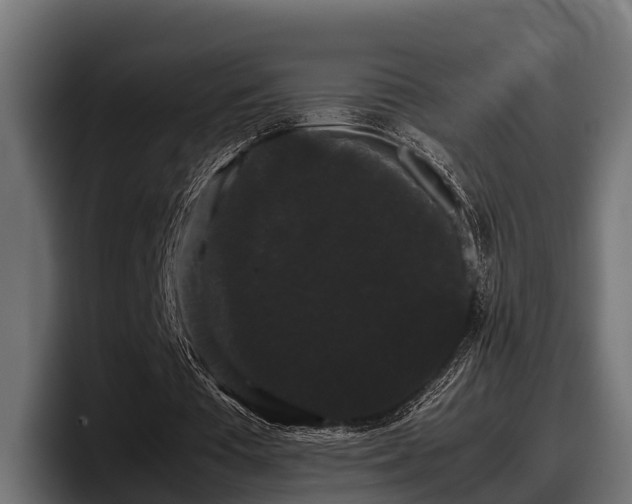 X0000097820385200803201442