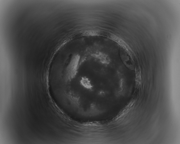 X0000097820386200803201442