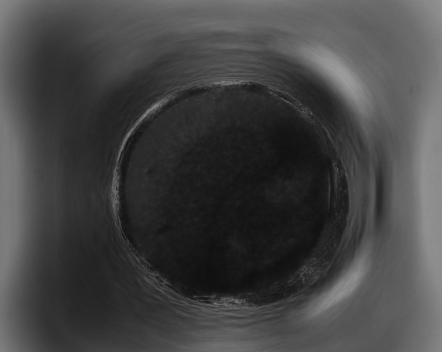 X0000097820387200803201442