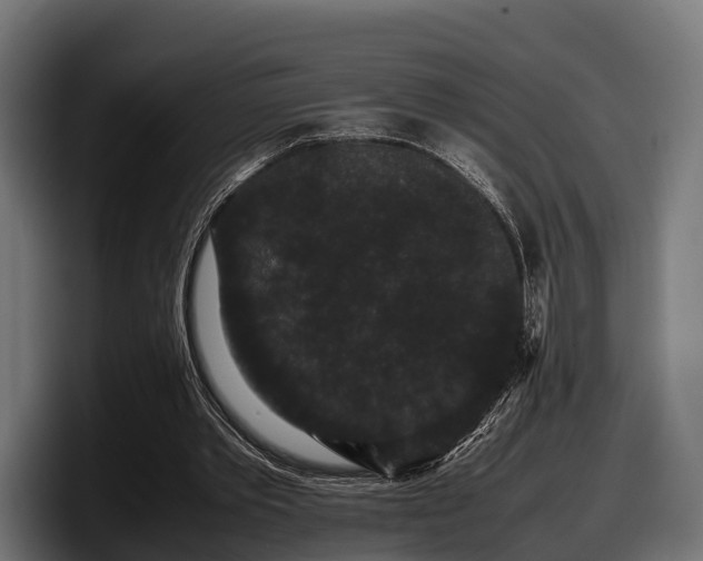 X0000097820389200803201442