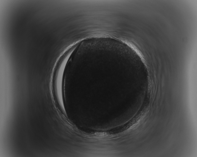 X0000097820391200803201442