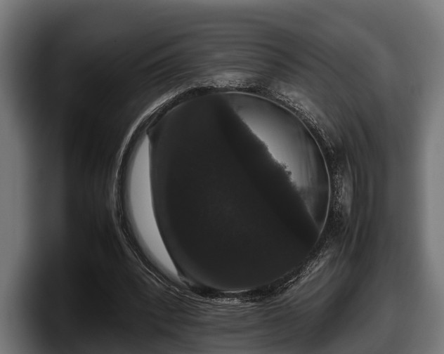 X0000097820392200803201442