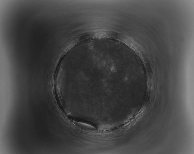 X0000097820393200803201442