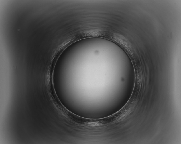 X0000097820394200803201442