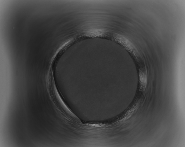 X0000097820396200803201442