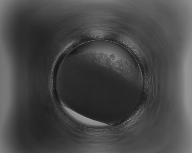 X0000097820399200803201441