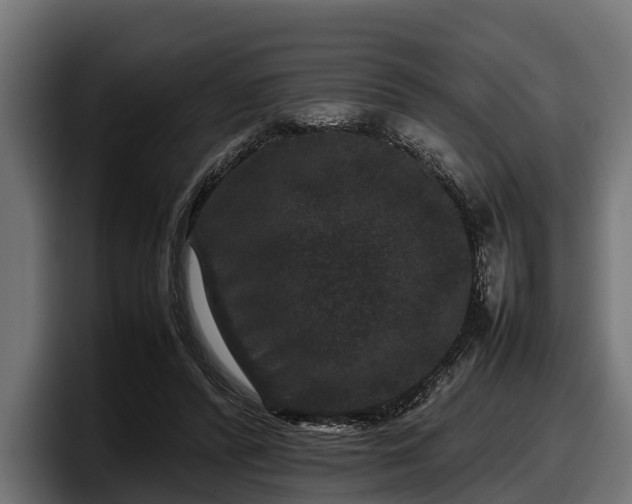 X0000097820400200803201441