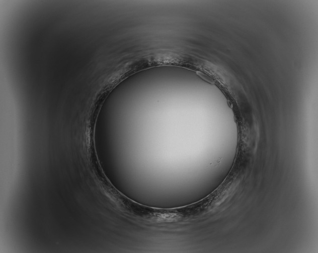 X0000097820401200803201441