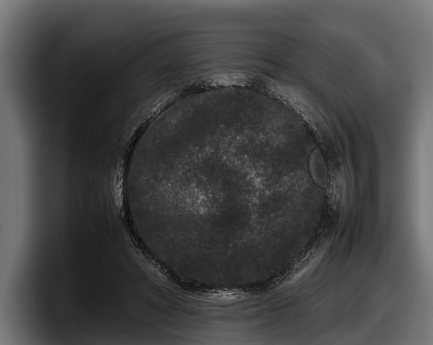 X0000097820402200803201441