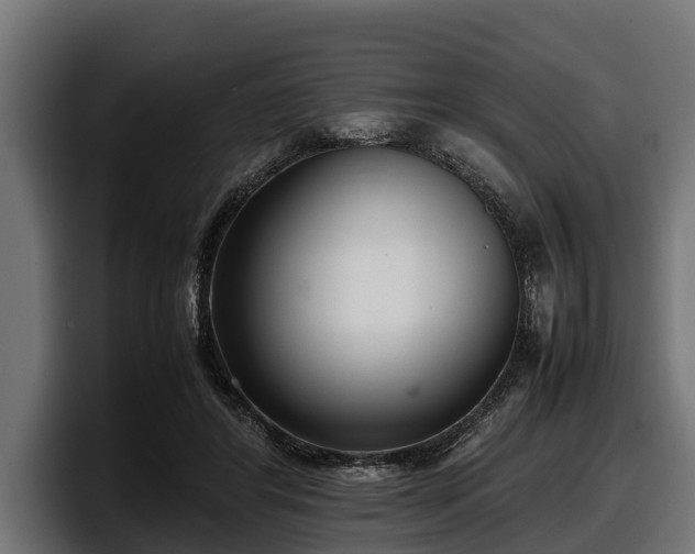 X0000097820404200803201441