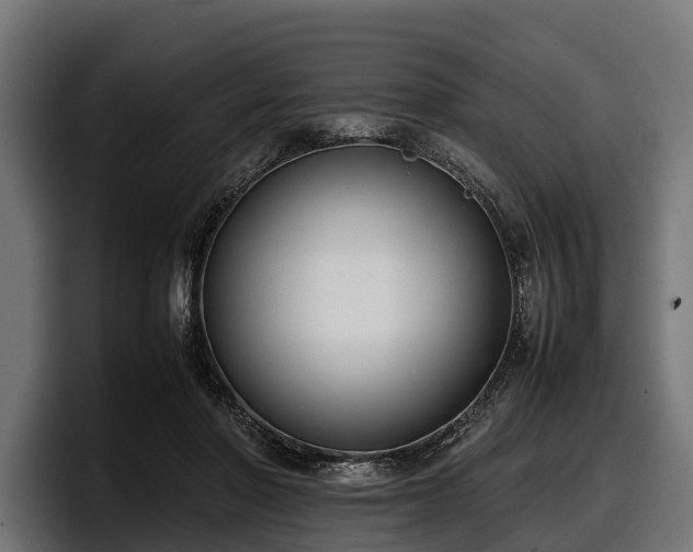 X0000097820406200803201441