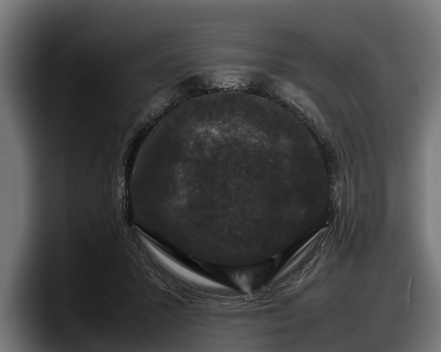 X0000097820407200803201441