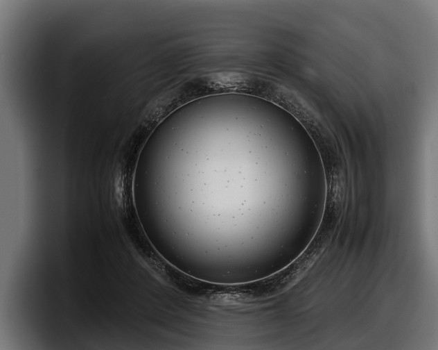 X0000097820408200803201441