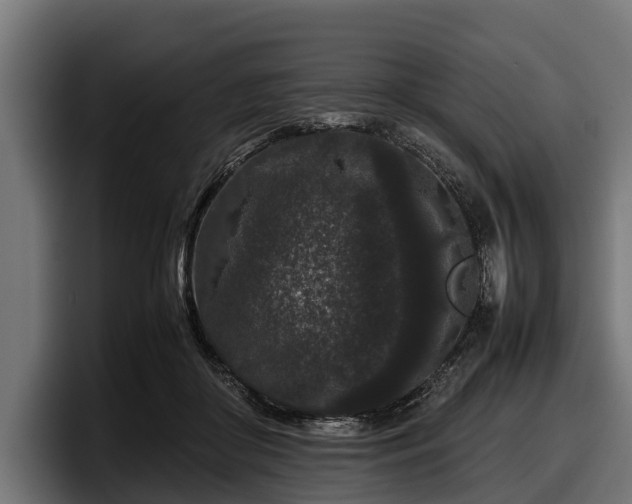 X0000097820410200803201441