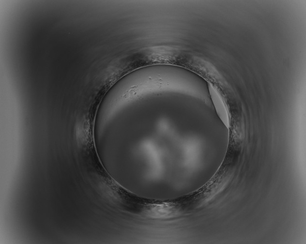 X0000097820411200803201441