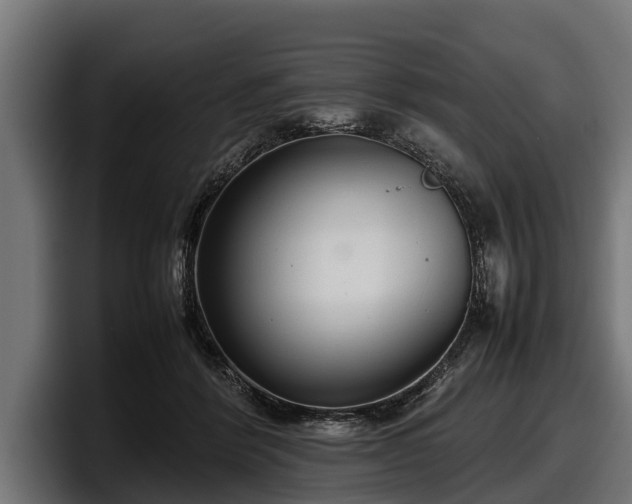 X0000097820412200803201441