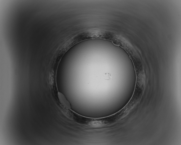 X0000097820413200803201441