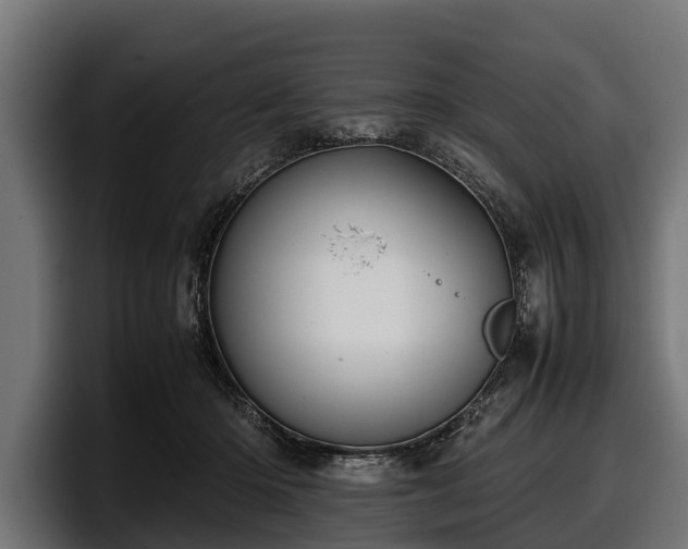 X0000097820414200803201441