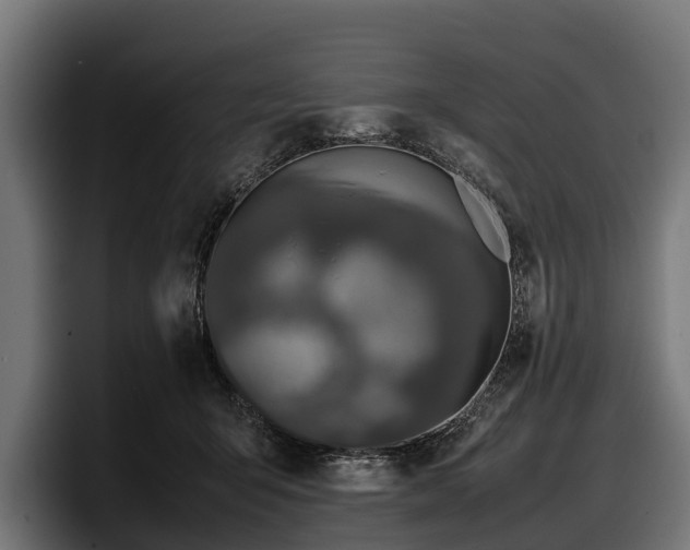 X0000097820415200803201441