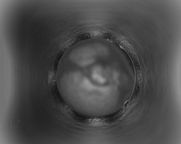 X0000097820419200803201441