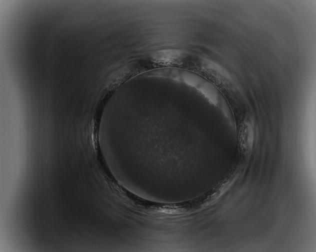 X0000097820420200803201441