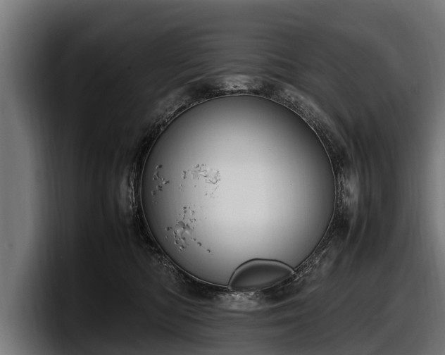 X0000097820422200803201441