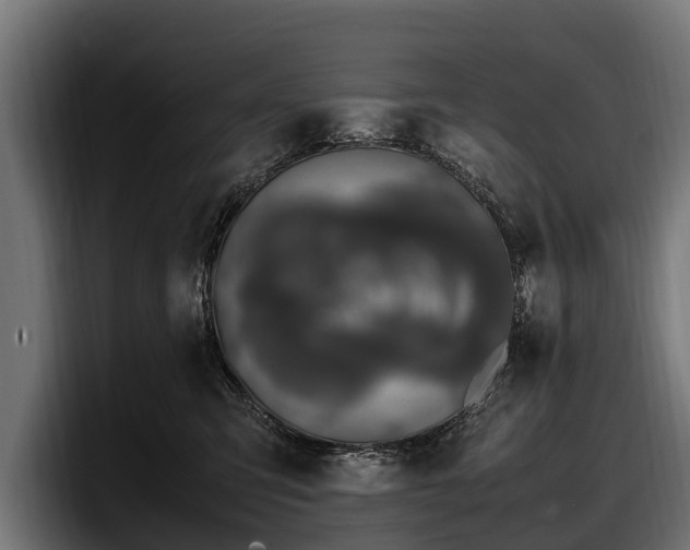 X0000097820423200803201441