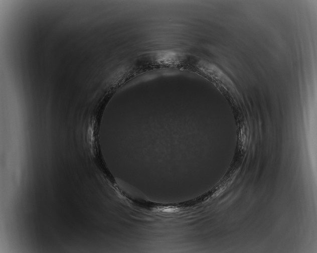 X0000097820424200803201441