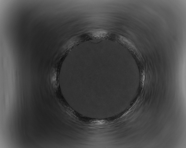 X0000097820428200803201441